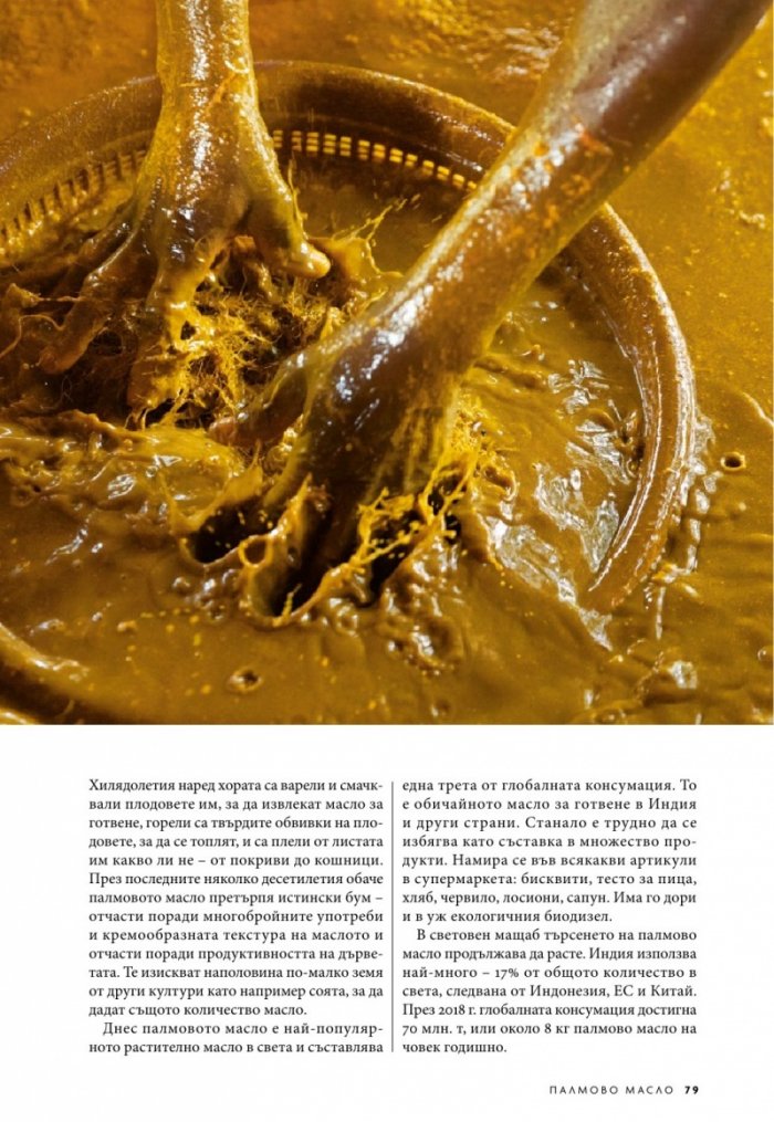 National Geographic България 11/2019