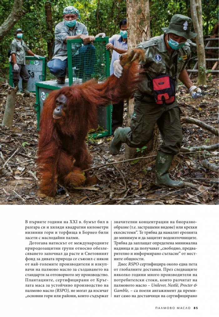 National Geographic България 11/2019