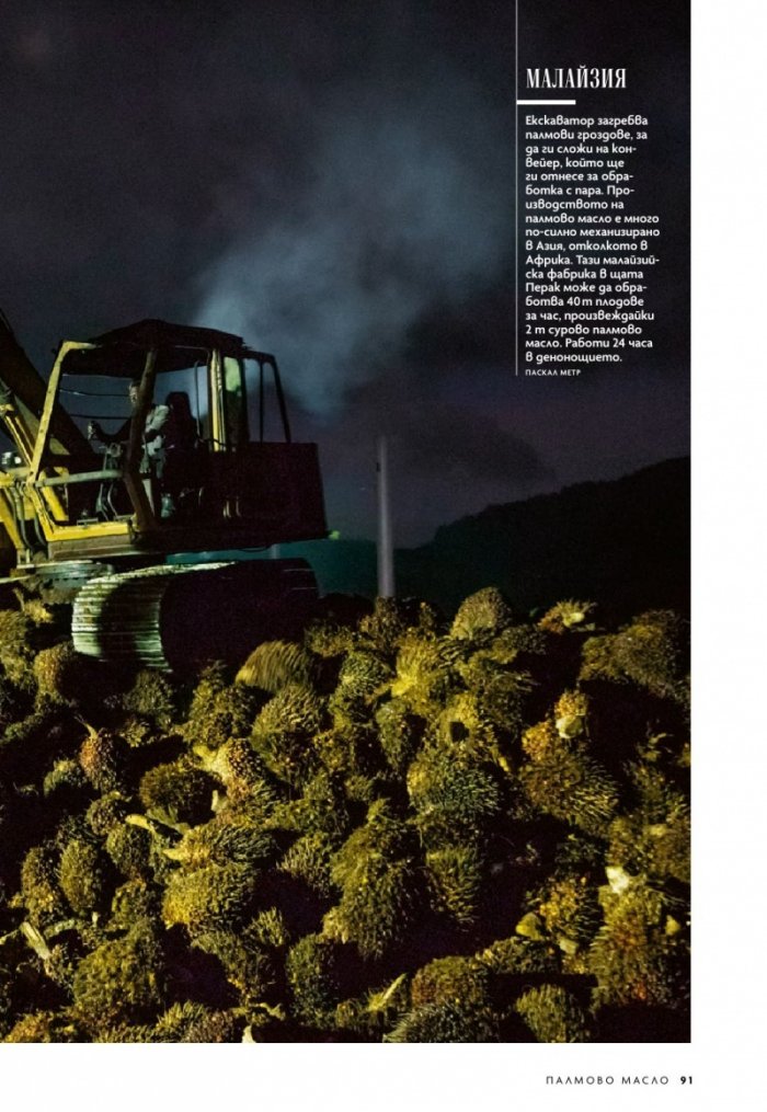 National Geographic България 11/2019