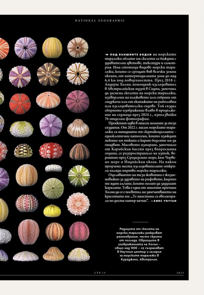 National Geographic България Юни/2025