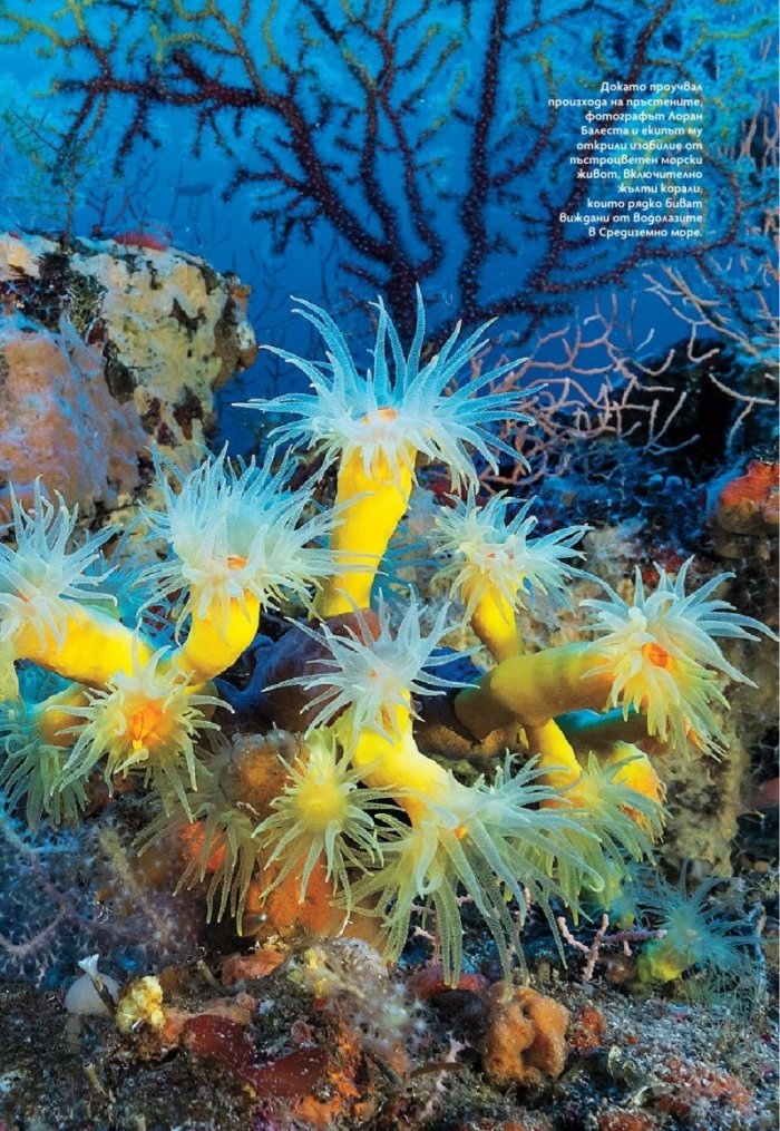 National Geographic България Юни/2025