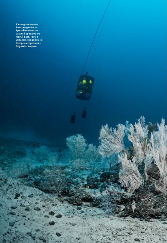 National Geographic България Юни/2025