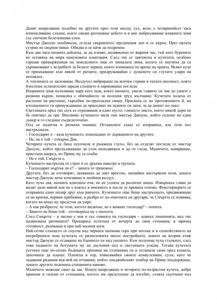 Нощ в райската градина