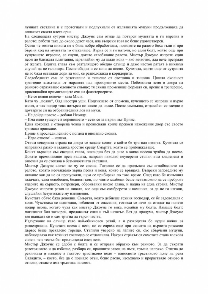 Нощ в райската градина