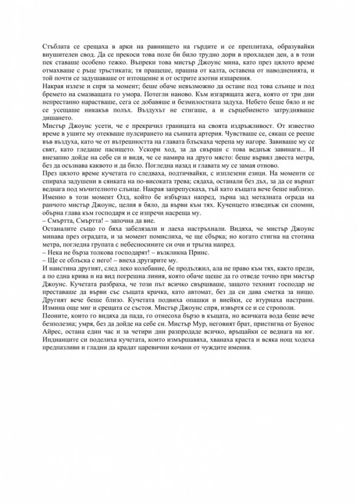 Нощ в райската градина
