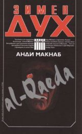 Зимен дух