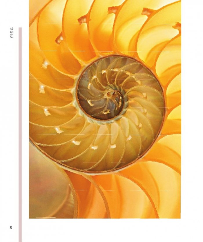 Енциклопедия на нумерологията