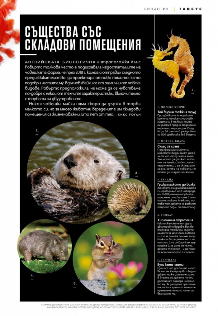 National Geographic България Октомври/2022