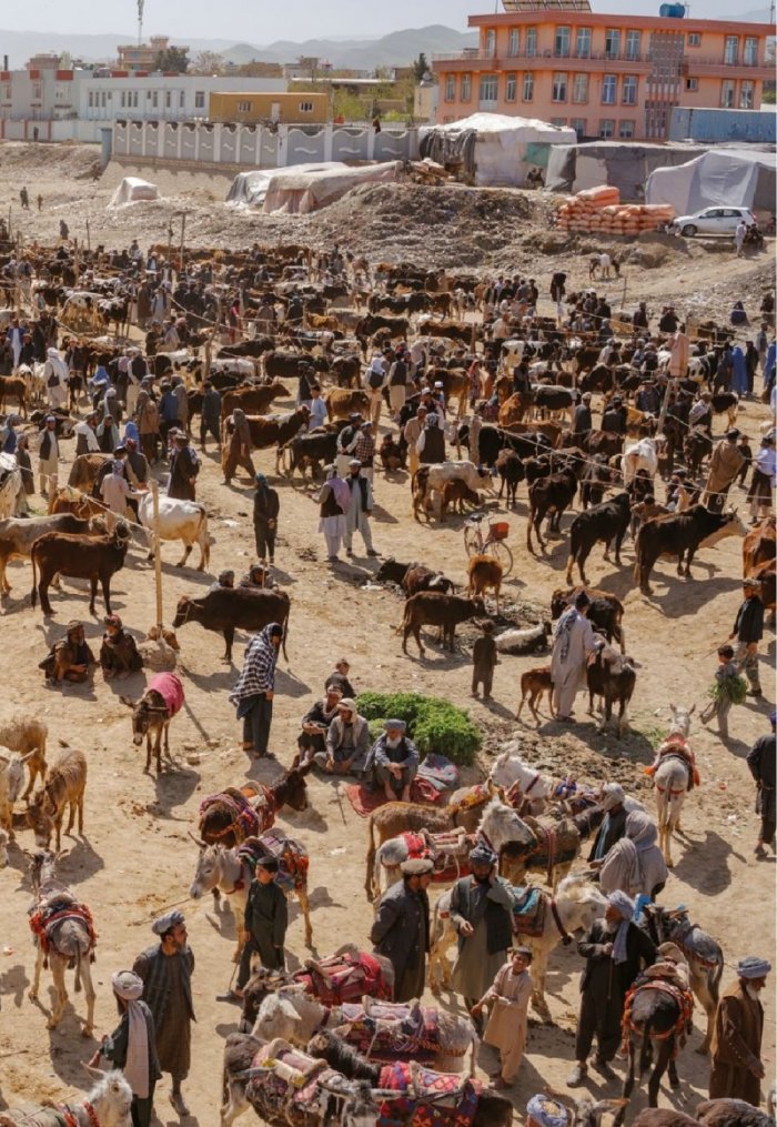 National Geographic България Октомври/2022