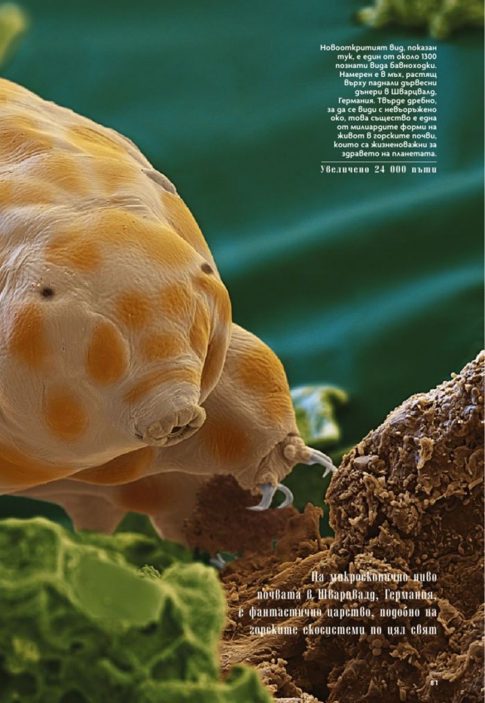 National Geographic България Октомври/2022