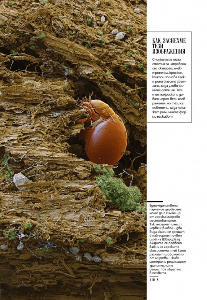 National Geographic България Октомври/2022
