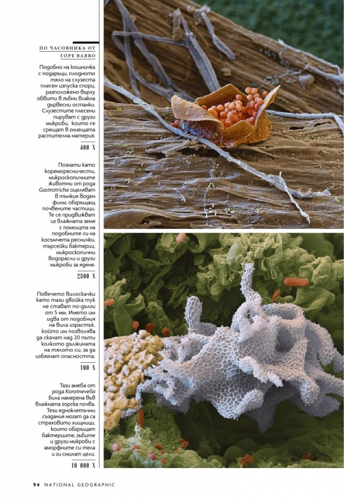 National Geographic България Октомври/2022