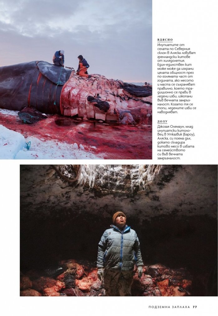 National Geographic България 12/2019