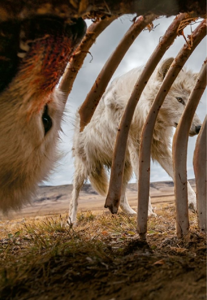 National Geographic България 12/2019
