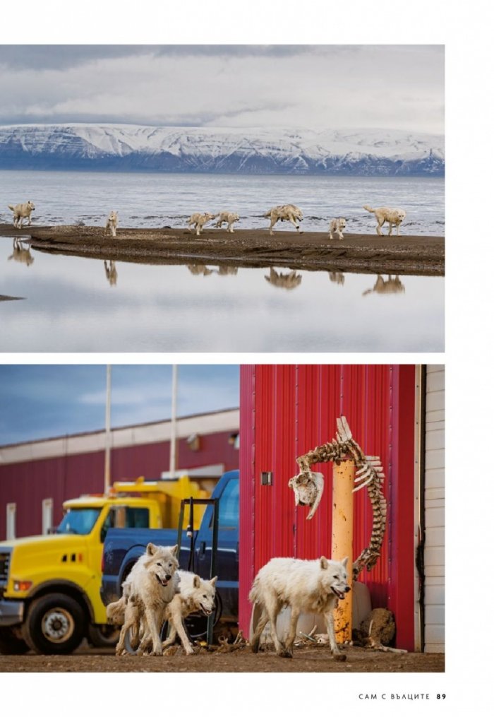 National Geographic България 12/2019