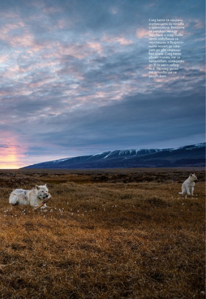 National Geographic България 12/2019