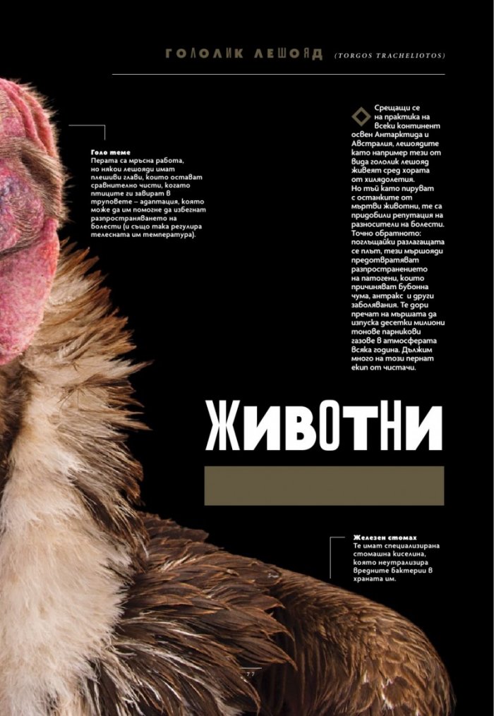 National Geographic България Юли/2025