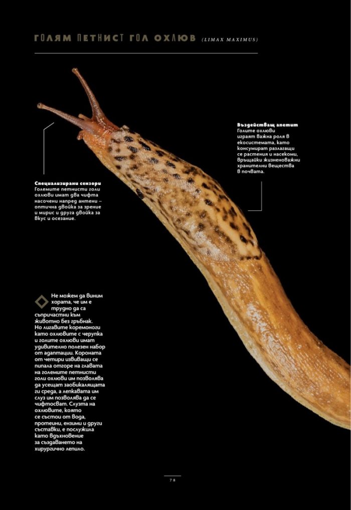 National Geographic България Юли/2025