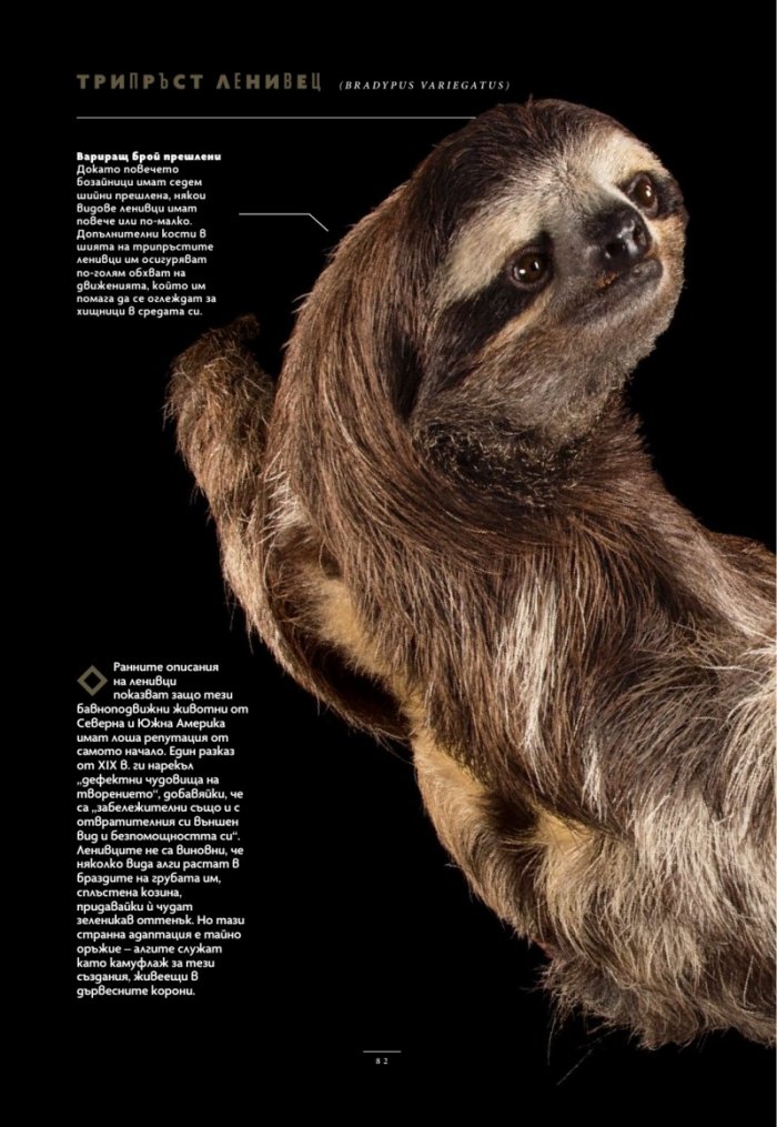 National Geographic България Юли/2025