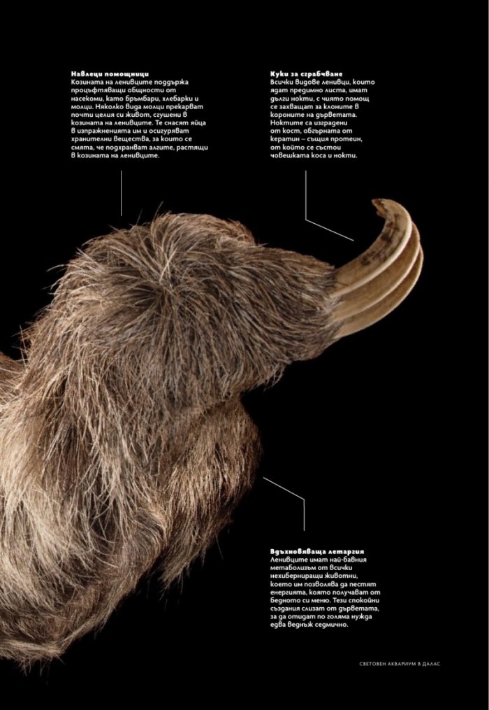 National Geographic България Юли/2025