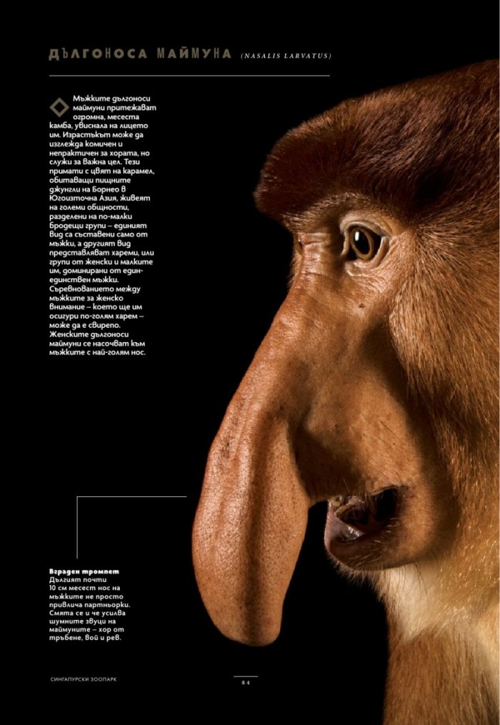 National Geographic България Юли/2025