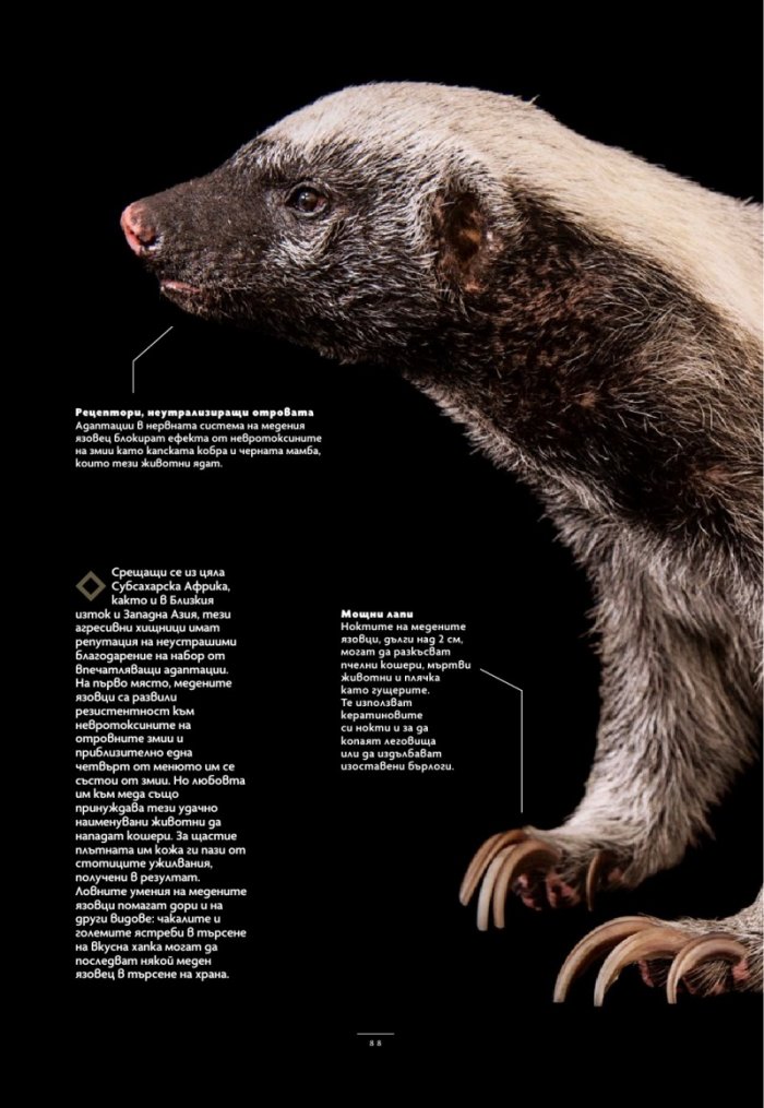 National Geographic България Юли/2025