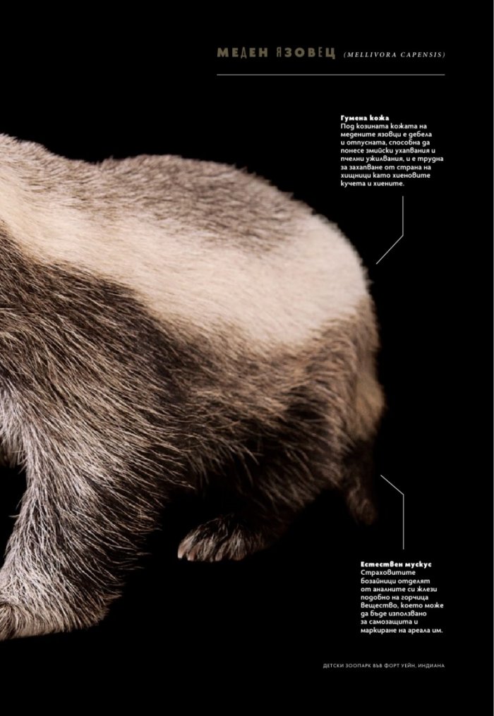 National Geographic България Юли/2025