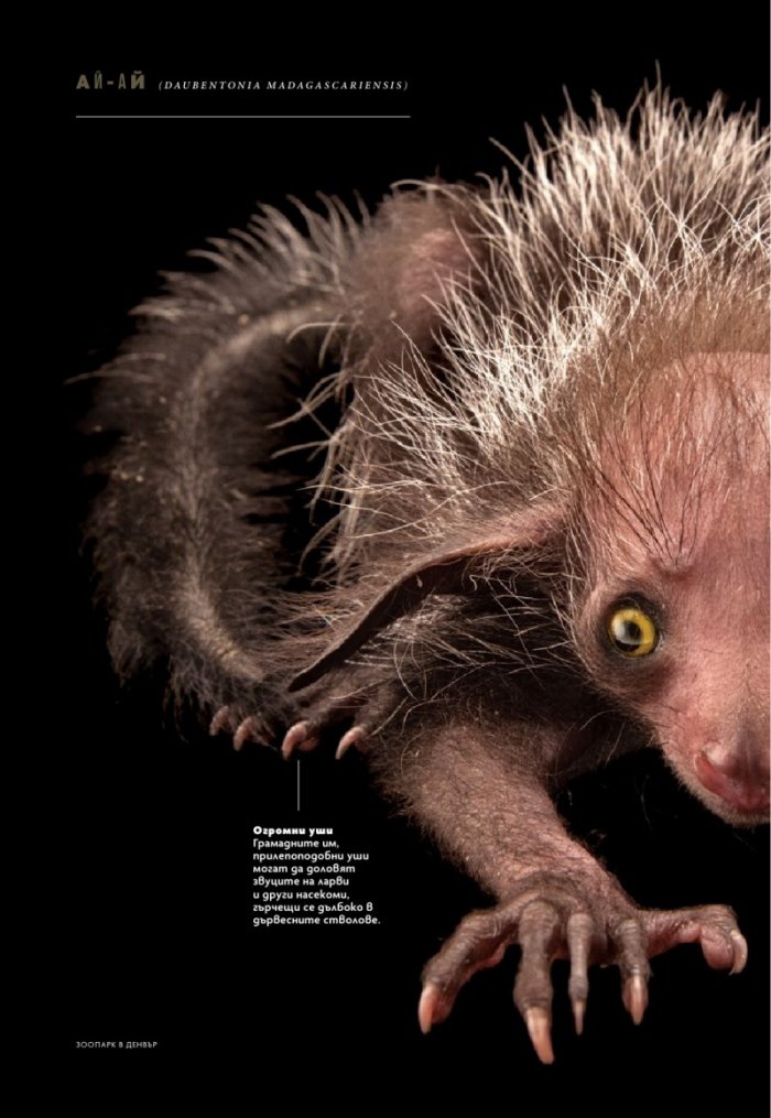 National Geographic България Юли/2025
