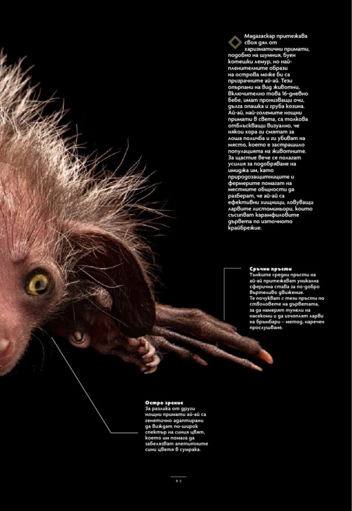 National Geographic България Юли/2025
