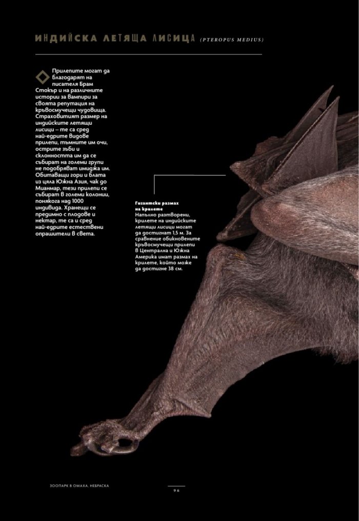 National Geographic България Юли/2025