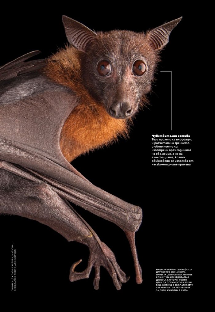 National Geographic България Юли/2025