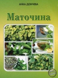 Маточина