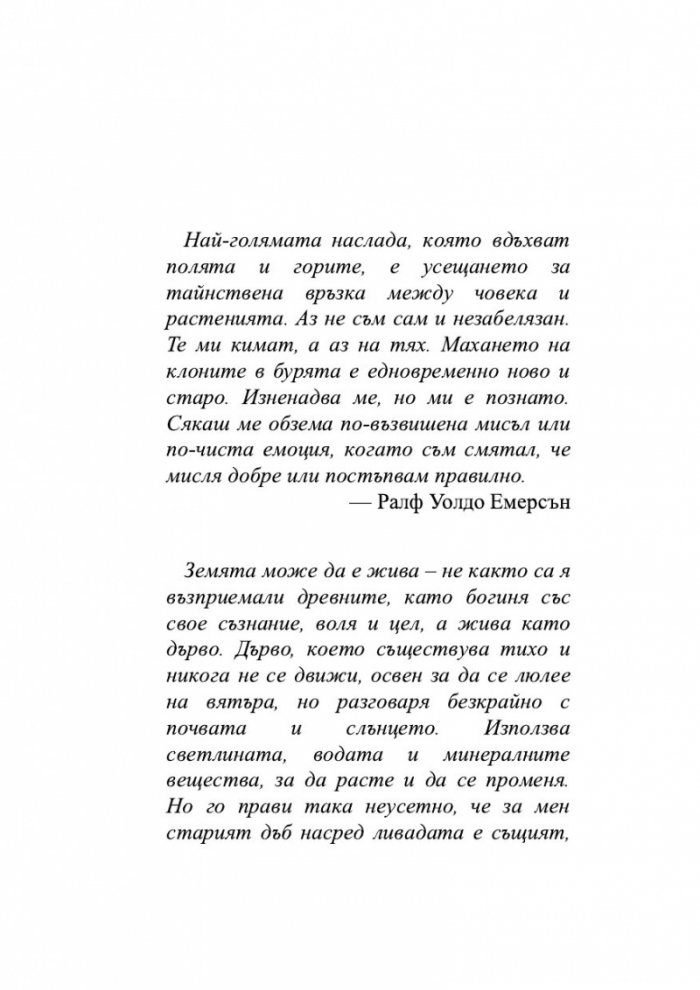 Дървесна история