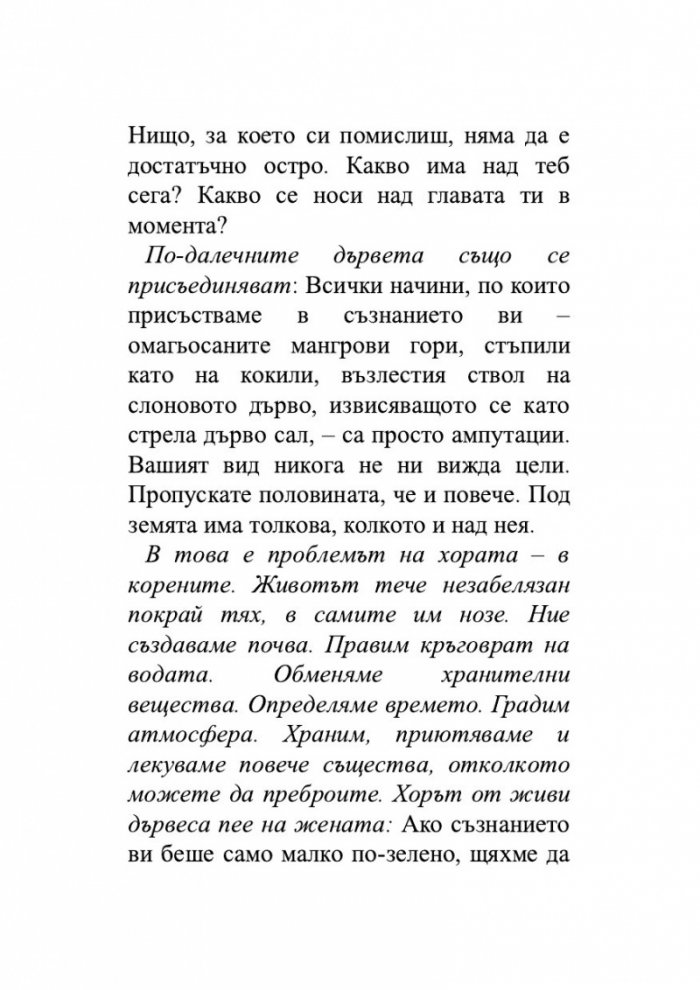 Дървесна история