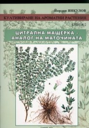 Култивиране на ароматни растения Кн.2: Цитрална мащерка - аналог на маточината