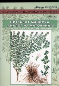 Култивиране на ароматни растения Кн.2: Цитрална мащерка - аналог на маточината