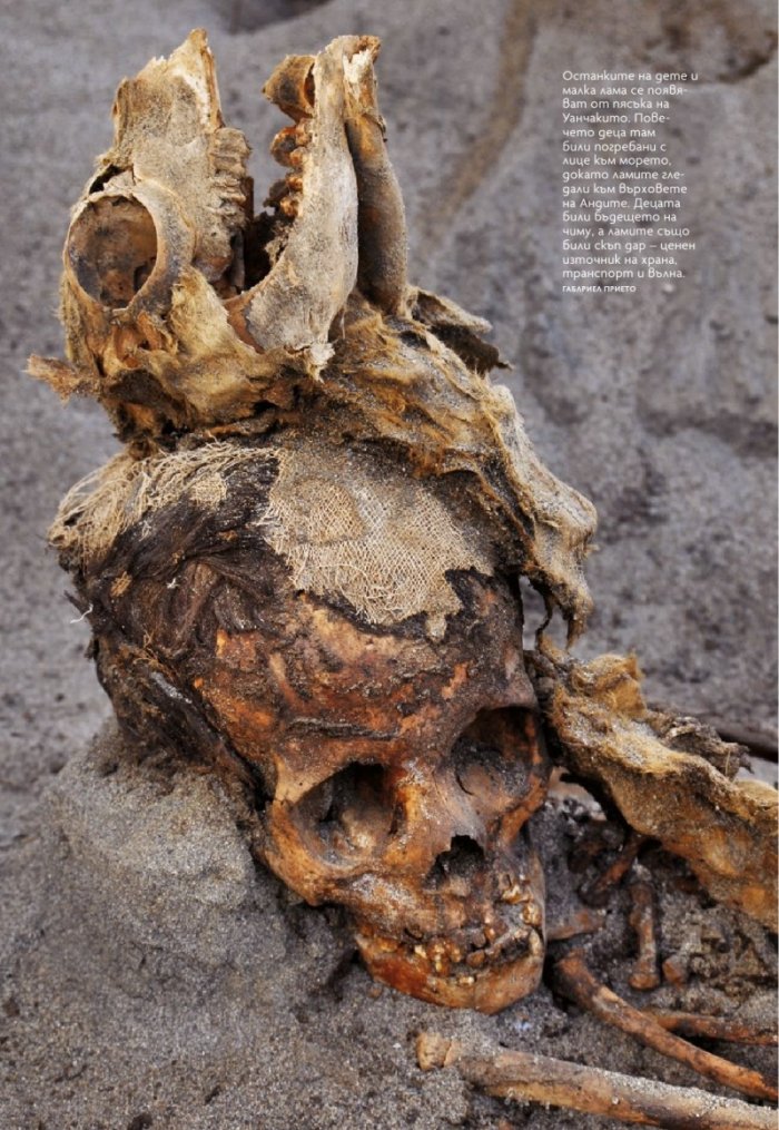 National Geographic България 2/2020