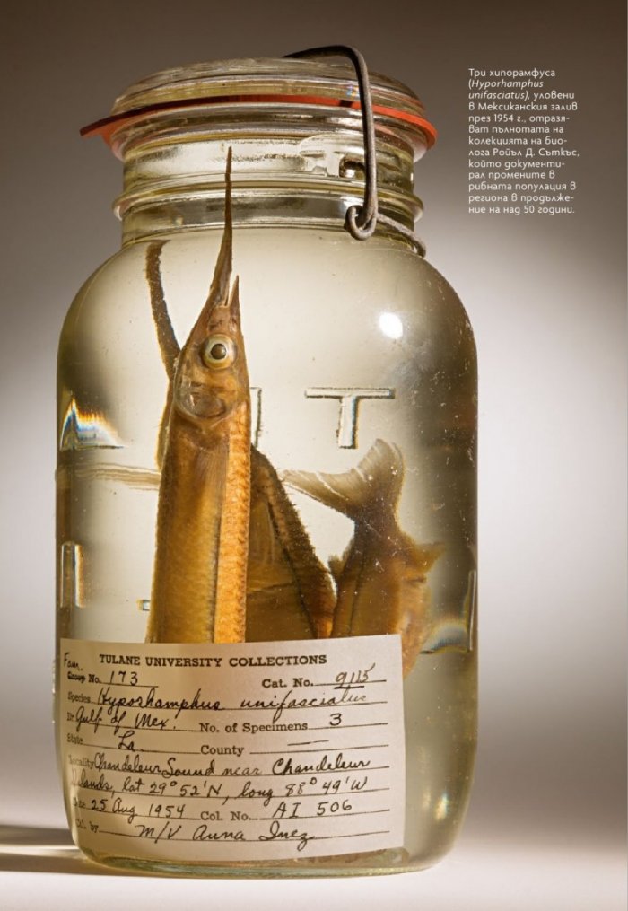 National Geographic България 2/2020
