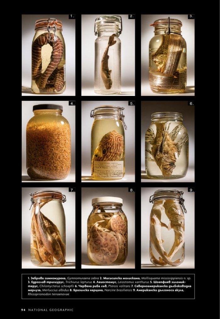 National Geographic България 2/2020