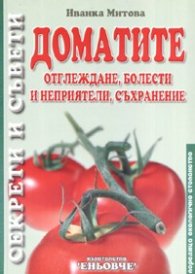 Доматите: Отглеждане, болести и неприятели съхранение