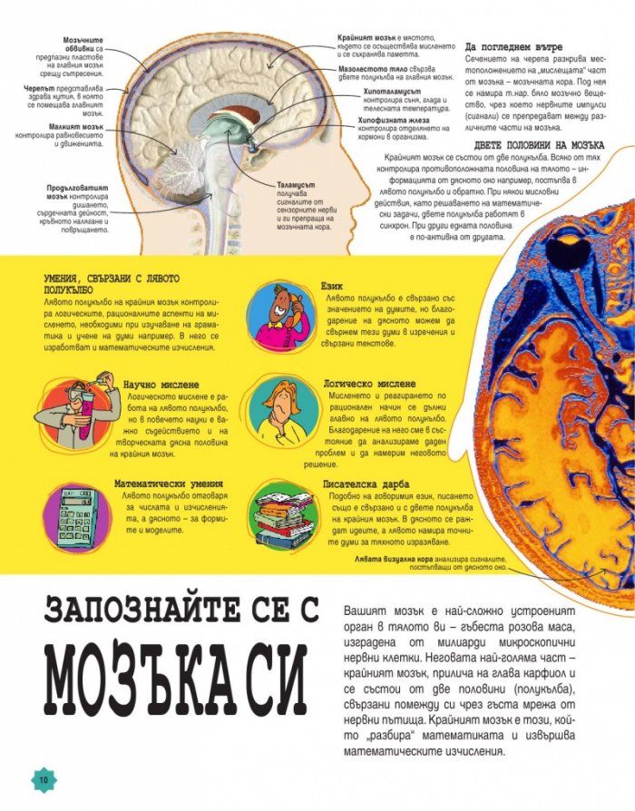 Гимнастика за ума на бъдещи математически гении