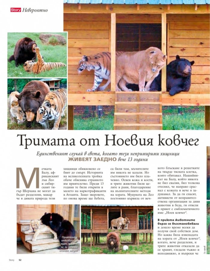 Story; Бр. 31/2014