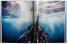 Michael Muller: Sharks, Face-to-Face with the Ocean's Endangered Predator