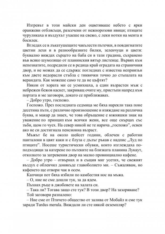 Полунощ в кафене "Черният дрозд"