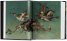 Hieronymus Bosch: Complete Works