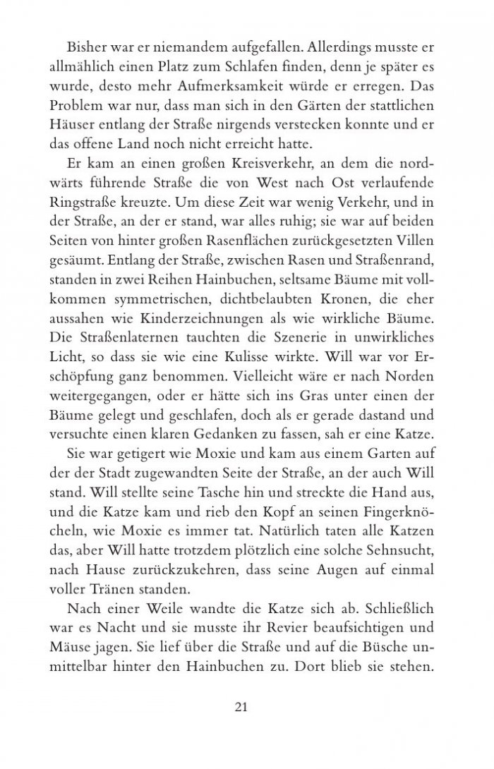 Das magische Messer