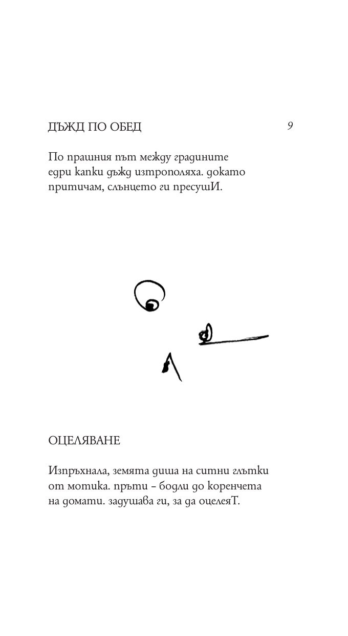 Птицата Феникс търси гнездо