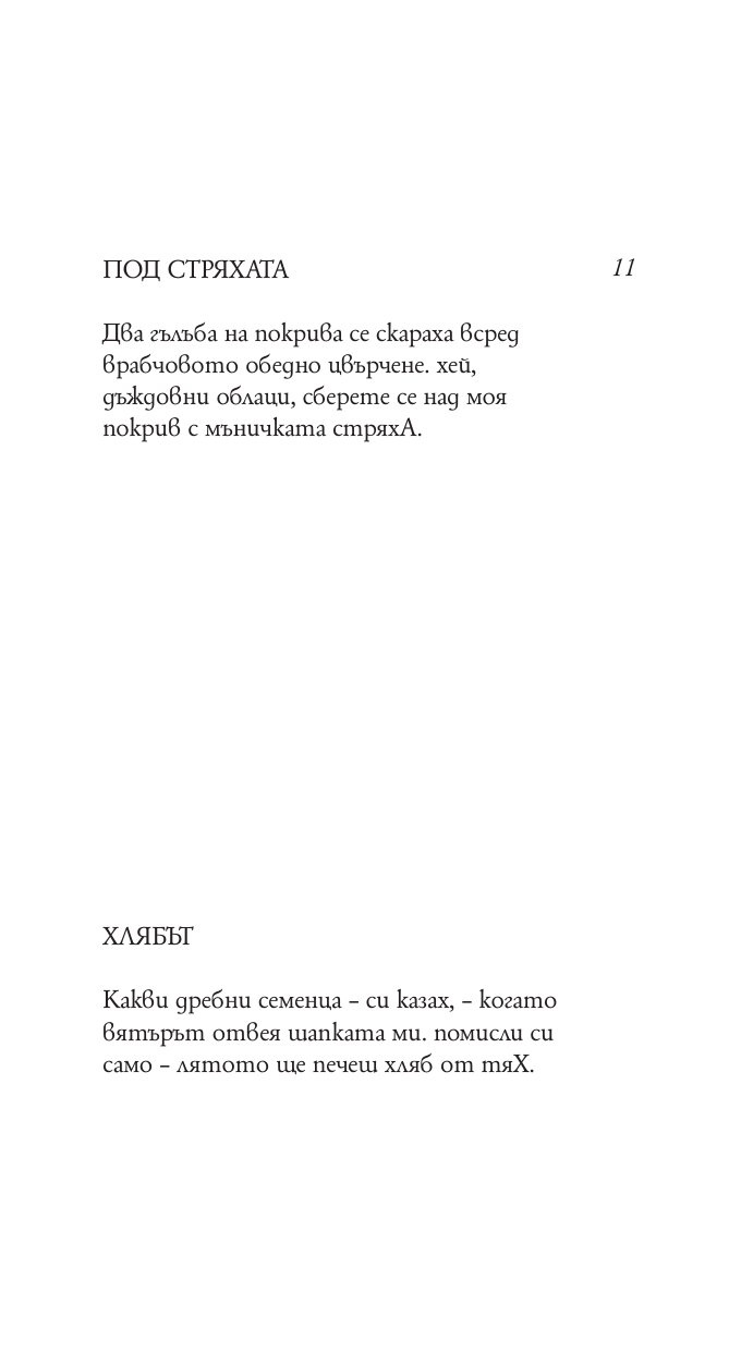 Птицата Феникс търси гнездо