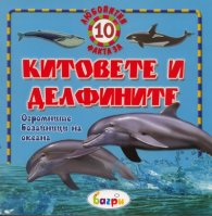 Китовете и делфините/ 10 любопитни факта
