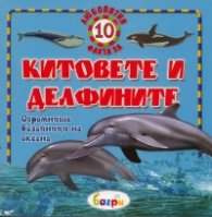 Китовете и делфините/ 10 любопитни факта